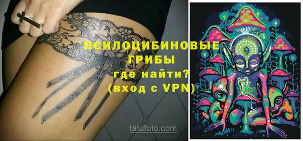 PSILOCYBIN Ступино