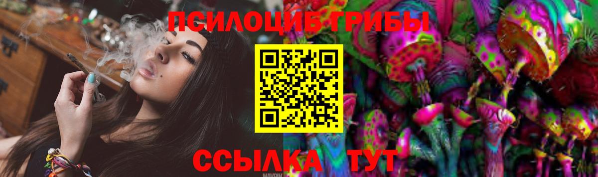 Псилоцибиновые грибы прущие грибы Электрогорск