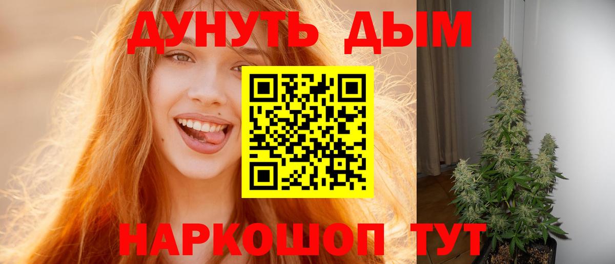 Каннабис конопля  Каннабис ГИДРОПОН  Бошки Шишки Bruce Banner  Вход с VPN  Электрогорск 